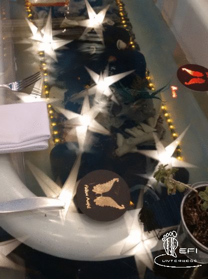 {f:if(condition: notitle, then: '', else: (file.title ?: ''))} {f:if(condition: altText, then: altText, else: (file.alternative ?: (file.title ?: file.name)))}