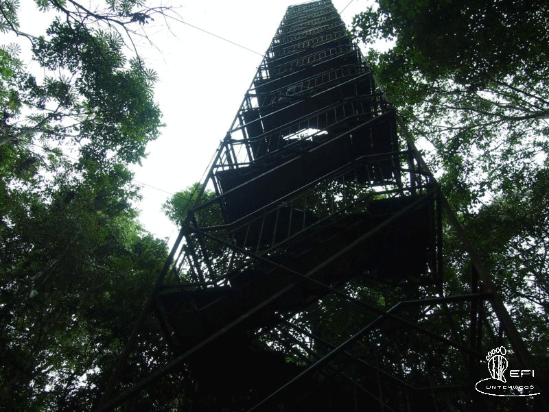 {f:if(condition: altText, then: altText, else: (file.alternative ?: (file.title ?: file.name)))}
