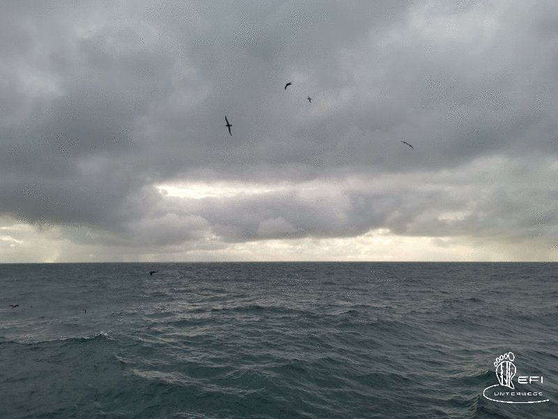 {f:if(condition: altText, then: altText, else: (file.alternative ?: (file.title ?: file.name)))}