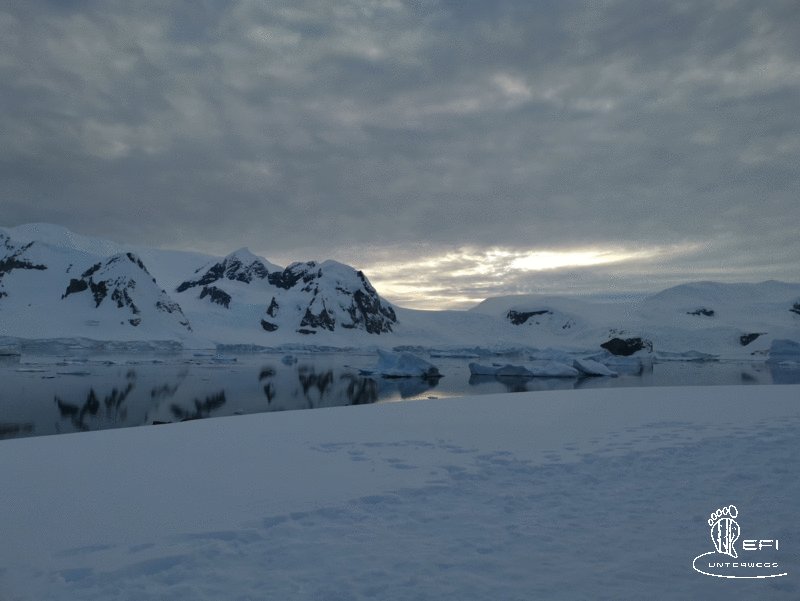 {f:if(condition: altText, then: altText, else: (file.alternative ?: (file.title ?: file.name)))}