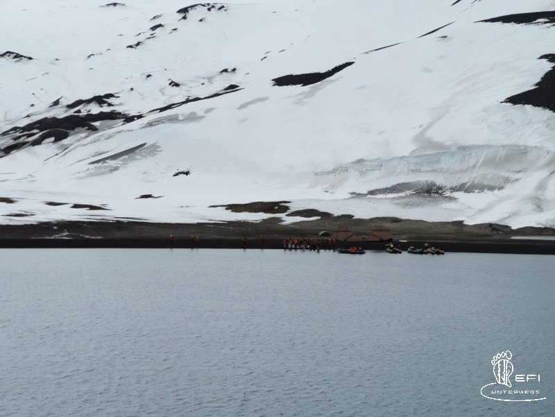 {f:if(condition: altText, then: altText, else: (file.alternative ?: (file.title ?: file.name)))}