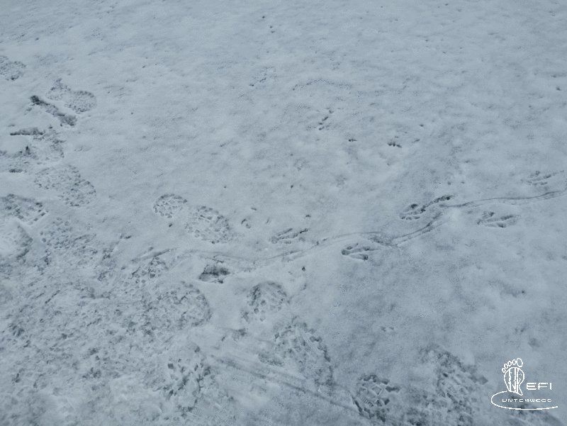 {f:if(condition: altText, then: altText, else: (file.alternative ?: (file.title ?: file.name)))}
