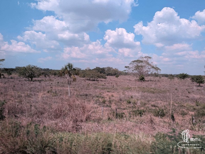 {f:if(condition: notitle, then: '', else: (file.title ?: ''))} {f:if(condition: altText, then: altText, else: (file.alternative ?: (file.title ?: file.name)))}