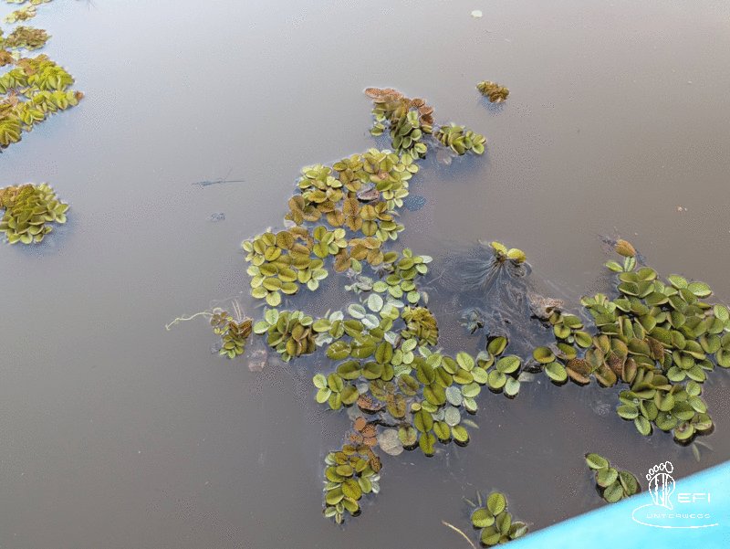 {f:if(condition: notitle, then: '', else: (file.title ?: ''))} {f:if(condition: altText, then: altText, else: (file.alternative ?: (file.title ?: file.name)))}