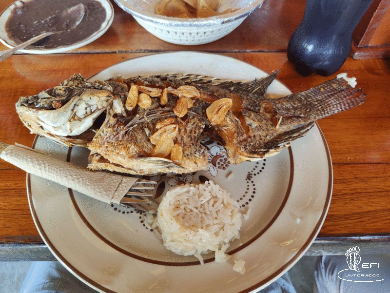 {f:if(condition: notitle, then: '', else: (file.title ?: ''))} {f:if(condition: altText, then: altText, else: (file.alternative ?: (file.title ?: file.name)))}