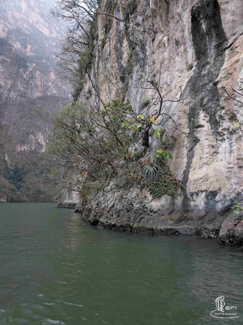 {f:if(condition: notitle, then: '', else: (file.title ?: ''))} {f:if(condition: altText, then: altText, else: (file.alternative ?: (file.title ?: file.name)))}