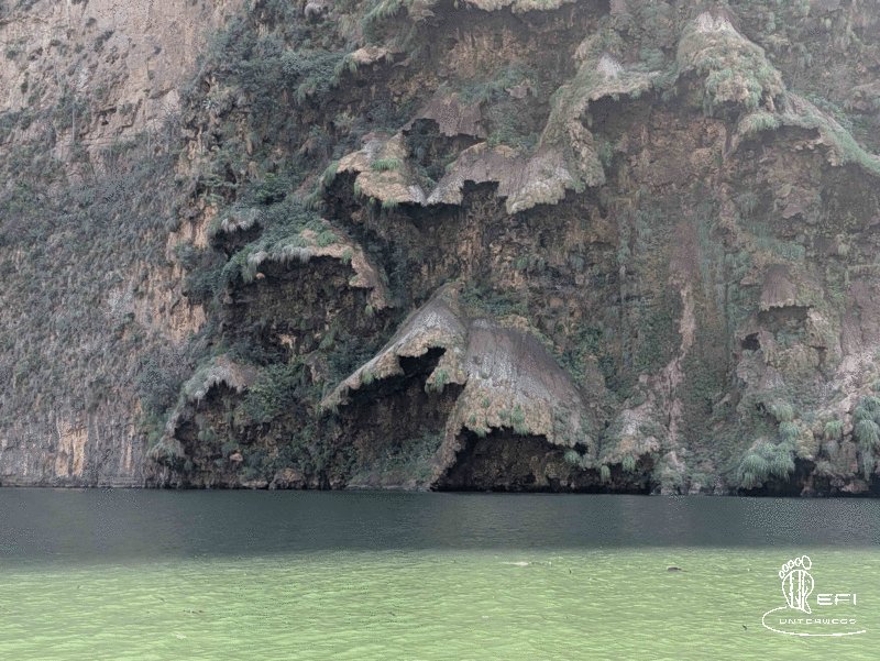 {f:if(condition: notitle, then: '', else: (file.title ?: ''))} {f:if(condition: altText, then: altText, else: (file.alternative ?: (file.title ?: file.name)))}