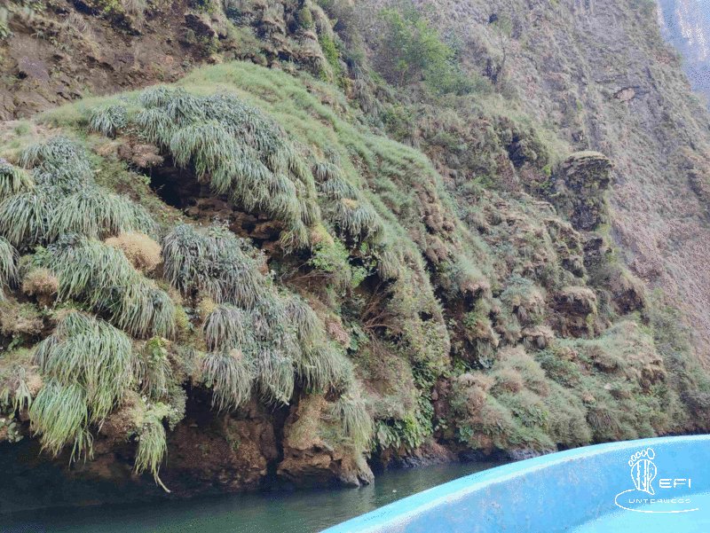 {f:if(condition: notitle, then: '', else: (file.title ?: ''))} {f:if(condition: altText, then: altText, else: (file.alternative ?: (file.title ?: file.name)))}