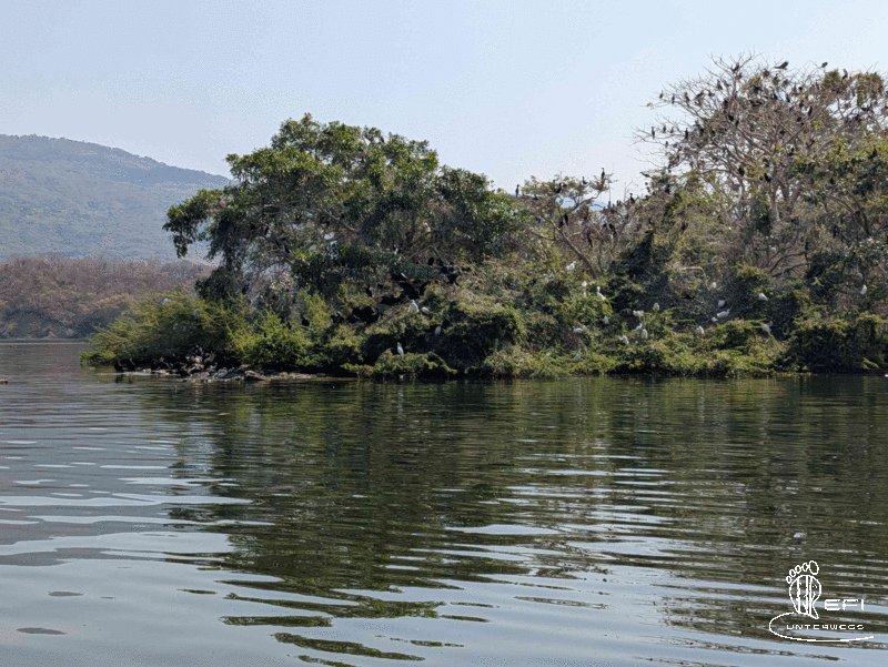 {f:if(condition: notitle, then: '', else: (file.title ?: ''))} {f:if(condition: altText, then: altText, else: (file.alternative ?: (file.title ?: file.name)))}