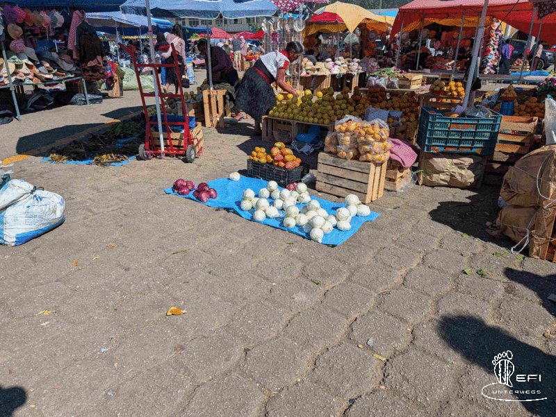 {f:if(condition: notitle, then: '', else: (file.title ?: ''))} {f:if(condition: altText, then: altText, else: (file.alternative ?: (file.title ?: file.name)))}