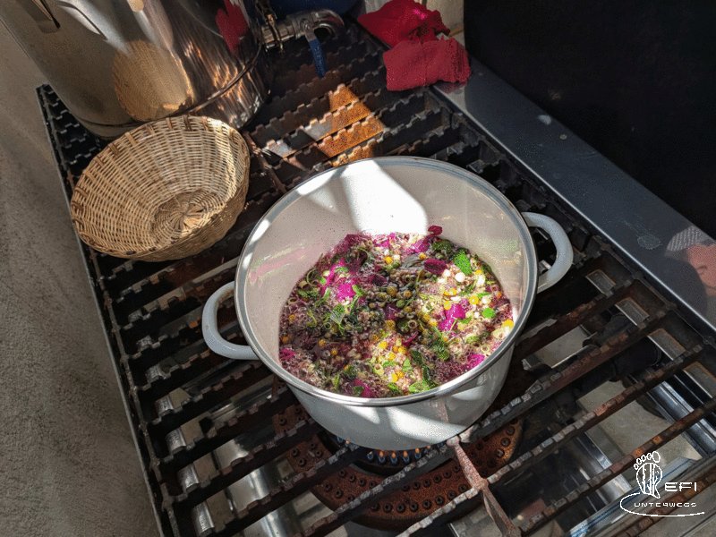 {f:if(condition: notitle, then: '', else: (file.title ?: ''))} {f:if(condition: altText, then: altText, else: (file.alternative ?: (file.title ?: file.name)))}