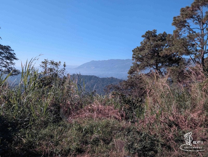 {f:if(condition: altText, then: altText, else: (file.alternative ?: (file.title ?: file.name)))}