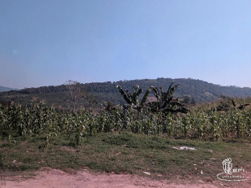 {f:if(condition: altText, then: altText, else: (file.alternative ?: (file.title ?: file.name)))}