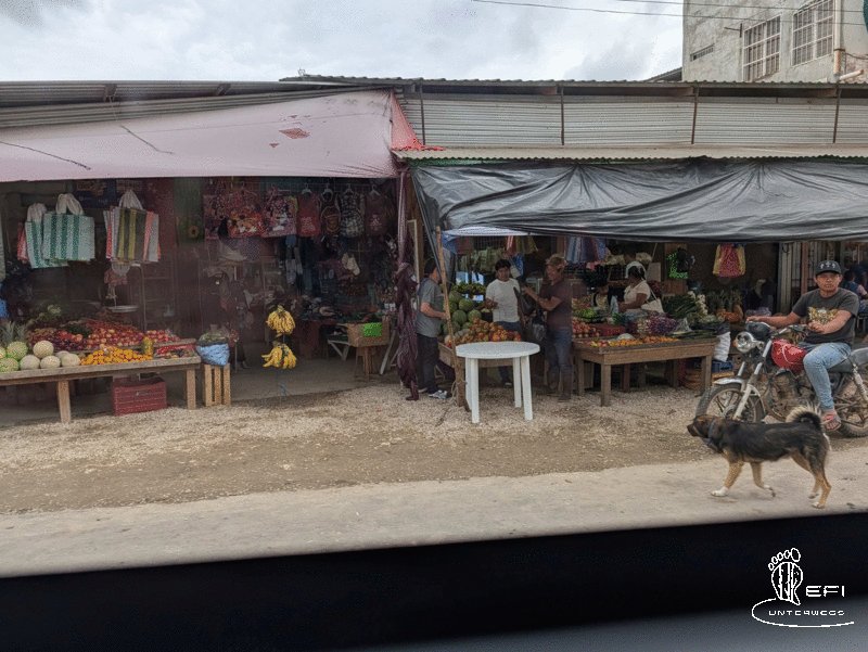 {f:if(condition: notitle, then: '', else: (file.title ?: ''))} {f:if(condition: altText, then: altText, else: (file.alternative ?: (file.title ?: file.name)))}