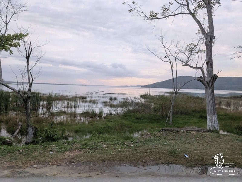 {f:if(condition: notitle, then: '', else: (file.title ?: ''))} {f:if(condition: altText, then: altText, else: (file.alternative ?: (file.title ?: file.name)))}