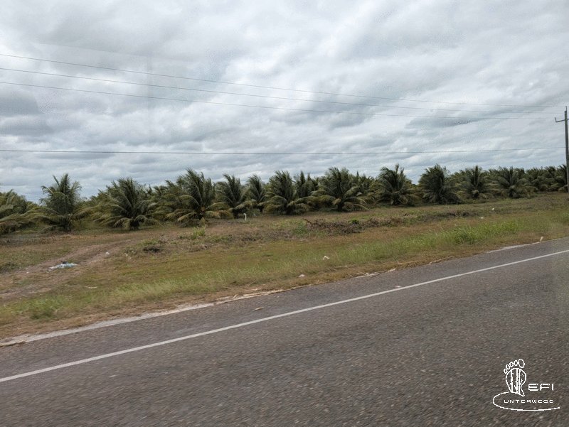 {f:if(condition: altText, then: altText, else: (file.alternative ?: (file.title ?: file.name)))}