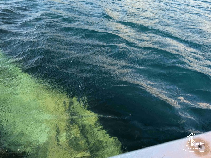 {f:if(condition: notitle, then: '', else: (file.title ?: ''))} {f:if(condition: altText, then: altText, else: (file.alternative ?: (file.title ?: file.name)))}