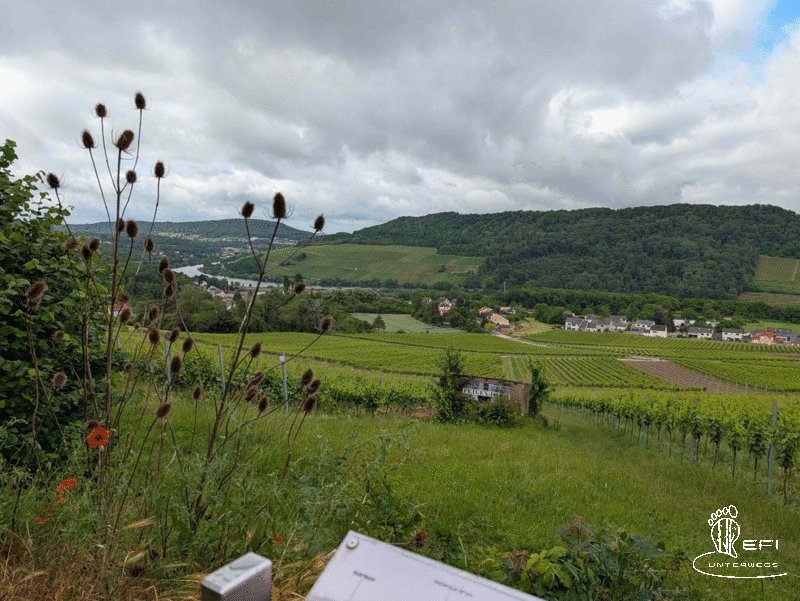 {f:if(condition: notitle, then: '', else: (file.title ?: ''))} {f:if(condition: altText, then: altText, else: (file.alternative ?: (file.title ?: file.name)))}