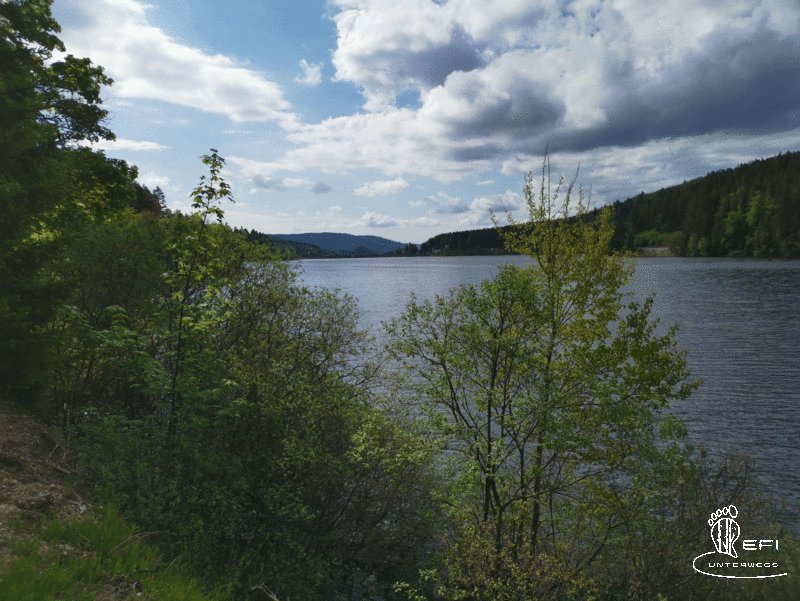 {f:if(condition: altText, then: altText, else: (file.alternative ?: (file.title ?: file.name)))}