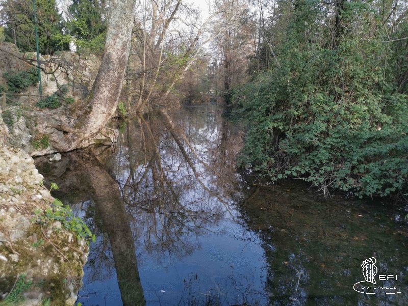 {f:if(condition: altText, then: altText, else: (file.alternative ?: (file.title ?: file.name)))}