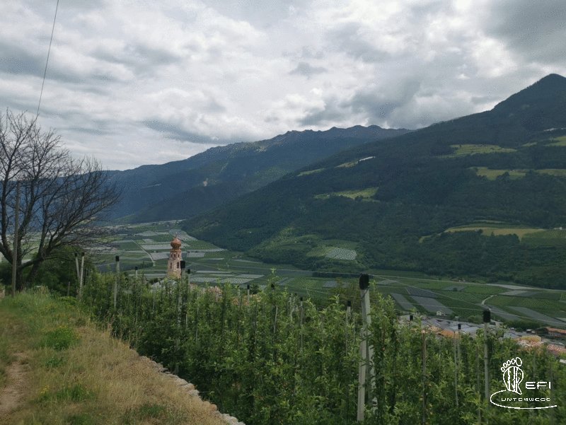{f:if(condition: notitle, then: '', else: (file.title ?: ''))} {f:if(condition: altText, then: altText, else: (file.alternative ?: (file.title ?: file.name)))}