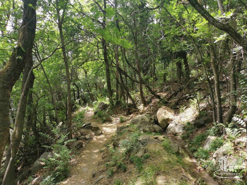 {f:if(condition: notitle, then: '', else: (file.title ?: ''))} {f:if(condition: altText, then: altText, else: (file.alternative ?: (file.title ?: file.name)))}