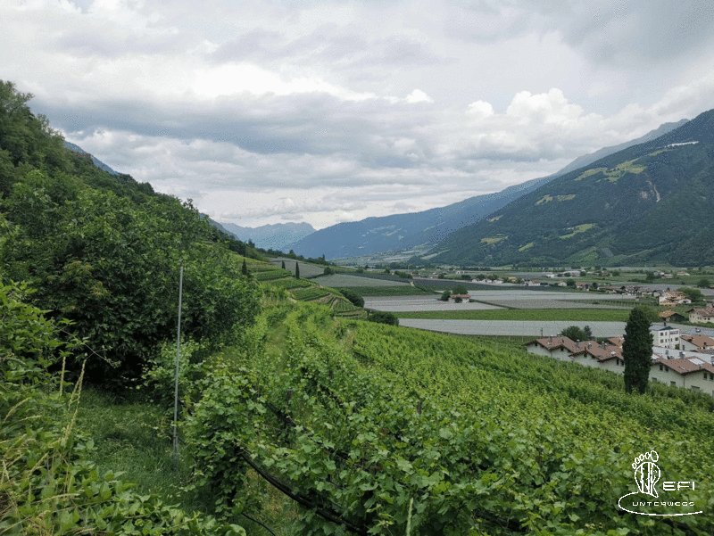 {f:if(condition: notitle, then: '', else: (file.title ?: ''))} {f:if(condition: altText, then: altText, else: (file.alternative ?: (file.title ?: file.name)))}