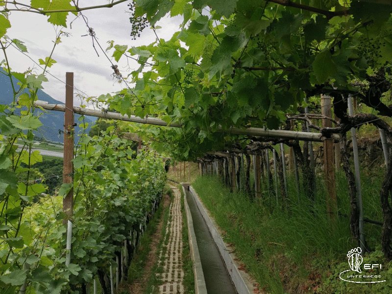 {f:if(condition: notitle, then: '', else: (file.title ?: ''))} {f:if(condition: altText, then: altText, else: (file.alternative ?: (file.title ?: file.name)))}