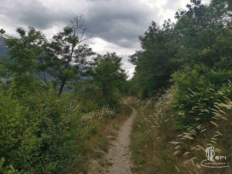 {f:if(condition: notitle, then: '', else: (file.title ?: ''))} {f:if(condition: altText, then: altText, else: (file.alternative ?: (file.title ?: file.name)))}