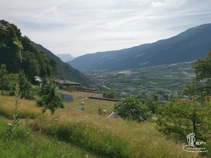 {f:if(condition: altText, then: altText, else: (file.alternative ?: (file.title ?: file.name)))}