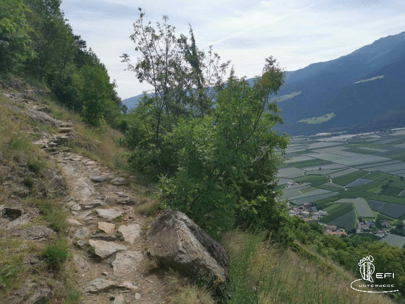 {f:if(condition: altText, then: altText, else: (file.alternative ?: (file.title ?: file.name)))}