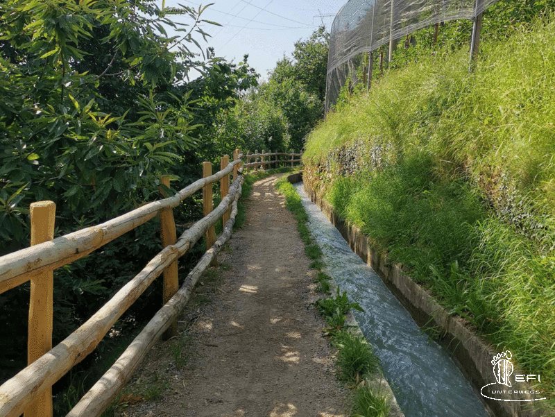 {f:if(condition: notitle, then: '', else: (file.title ?: ''))} {f:if(condition: altText, then: altText, else: (file.alternative ?: (file.title ?: file.name)))}