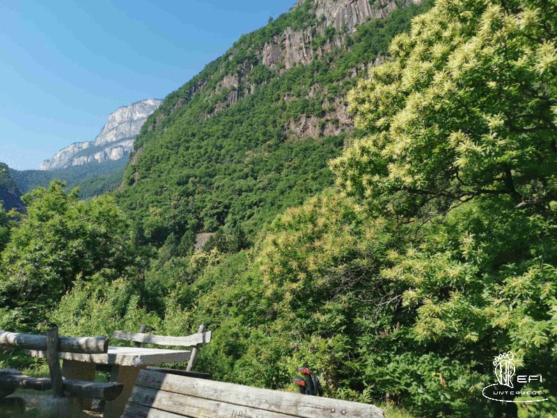 {f:if(condition: notitle, then: '', else: (file.title ?: ''))} {f:if(condition: altText, then: altText, else: (file.alternative ?: (file.title ?: file.name)))}