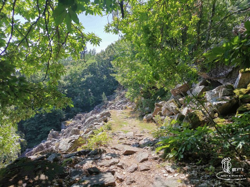 {f:if(condition: notitle, then: '', else: (file.title ?: ''))} {f:if(condition: altText, then: altText, else: (file.alternative ?: (file.title ?: file.name)))}