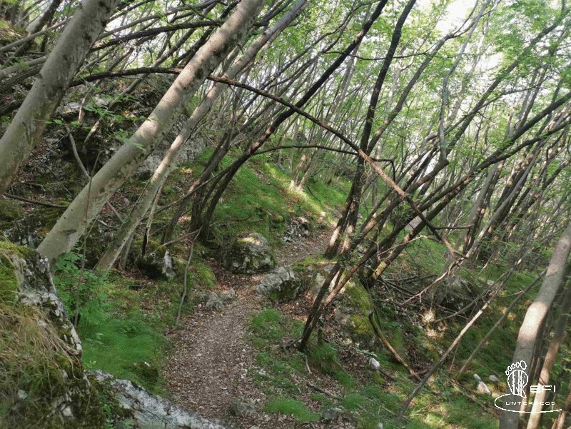 {f:if(condition: notitle, then: '', else: (file.title ?: ''))} {f:if(condition: altText, then: altText, else: (file.alternative ?: (file.title ?: file.name)))}