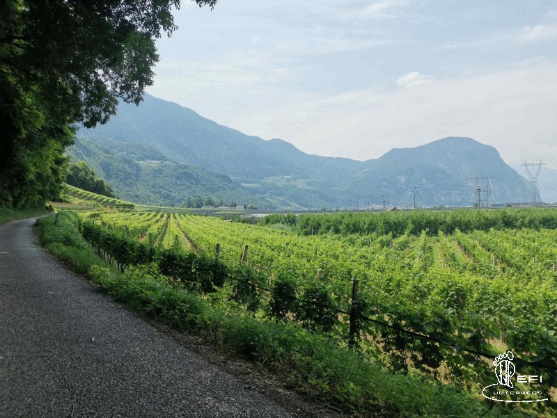 {f:if(condition: notitle, then: '', else: (file.title ?: ''))} {f:if(condition: altText, then: altText, else: (file.alternative ?: (file.title ?: file.name)))}