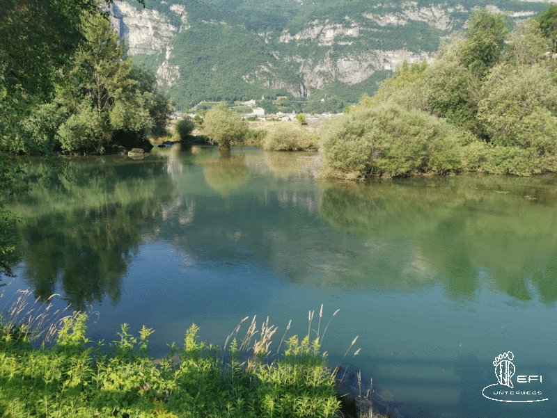 {f:if(condition: notitle, then: '', else: (file.title ?: ''))} {f:if(condition: altText, then: altText, else: (file.alternative ?: (file.title ?: file.name)))}
