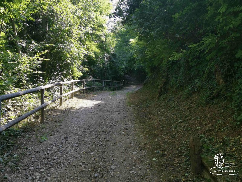 {f:if(condition: notitle, then: '', else: (file.title ?: ''))} {f:if(condition: altText, then: altText, else: (file.alternative ?: (file.title ?: file.name)))}