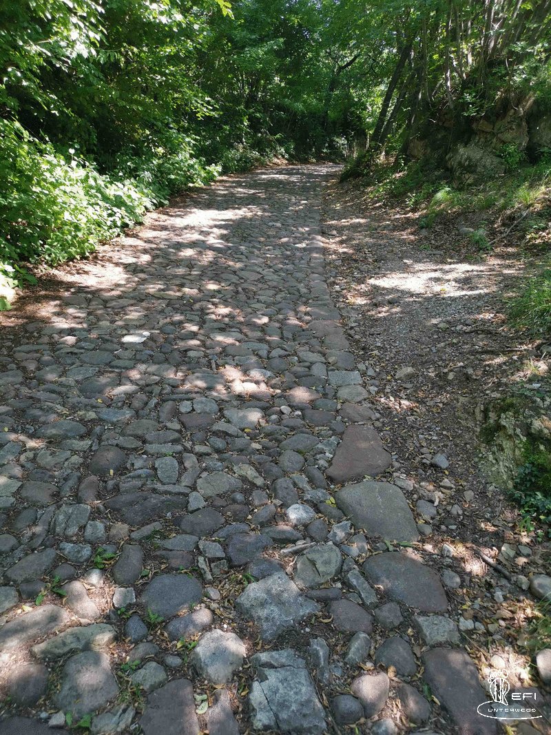 {f:if(condition: notitle, then: '', else: (file.title ?: ''))} {f:if(condition: altText, then: altText, else: (file.alternative ?: (file.title ?: file.name)))}