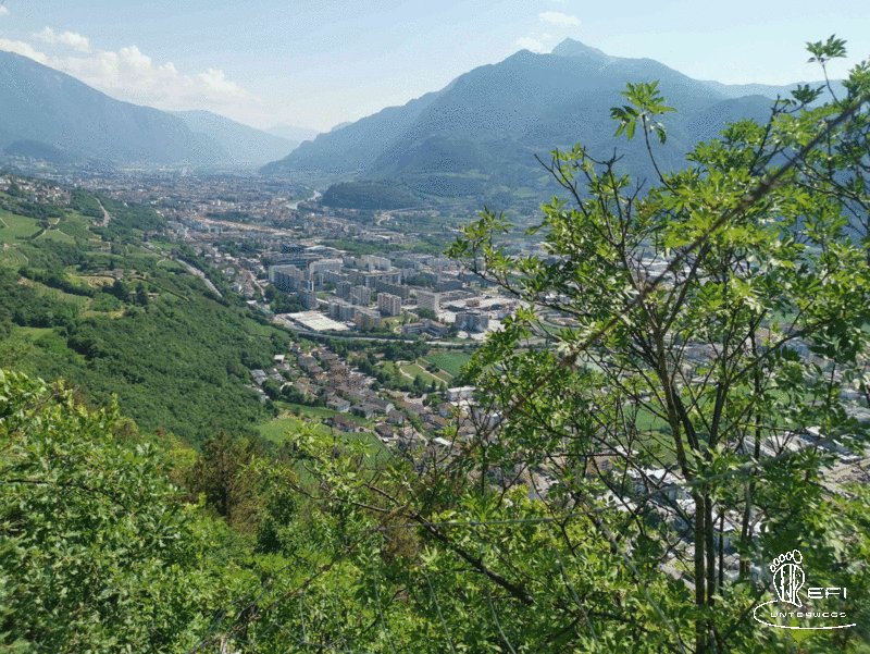 {f:if(condition: notitle, then: '', else: (file.title ?: ''))} {f:if(condition: altText, then: altText, else: (file.alternative ?: (file.title ?: file.name)))}