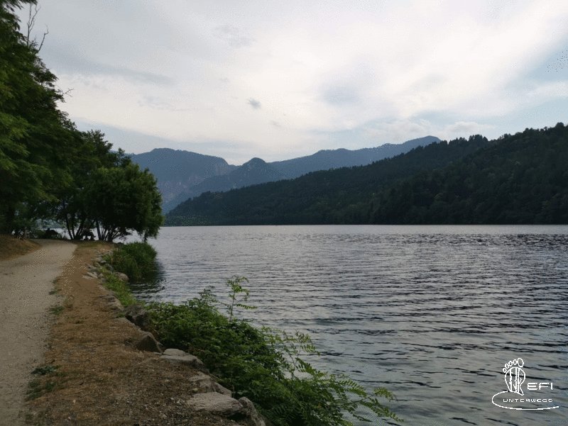 {f:if(condition: notitle, then: '', else: (file.title ?: ''))} {f:if(condition: altText, then: altText, else: (file.alternative ?: (file.title ?: file.name)))}