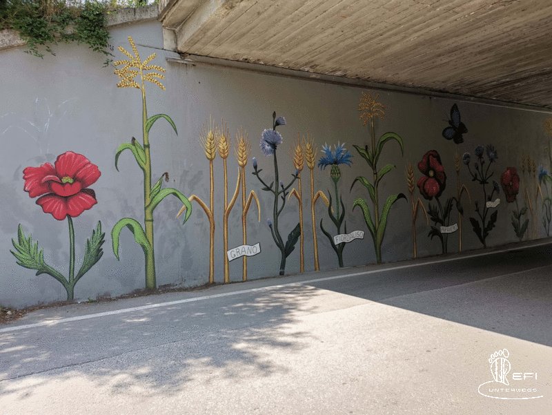 {f:if(condition: notitle, then: '', else: (file.title ?: ''))} {f:if(condition: altText, then: altText, else: (file.alternative ?: (file.title ?: file.name)))}