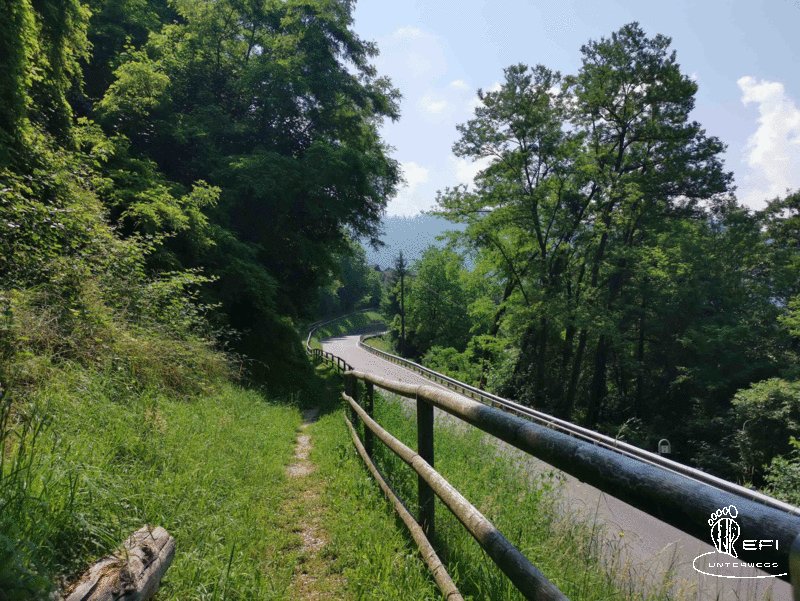 {f:if(condition: altText, then: altText, else: (file.alternative ?: (file.title ?: file.name)))}