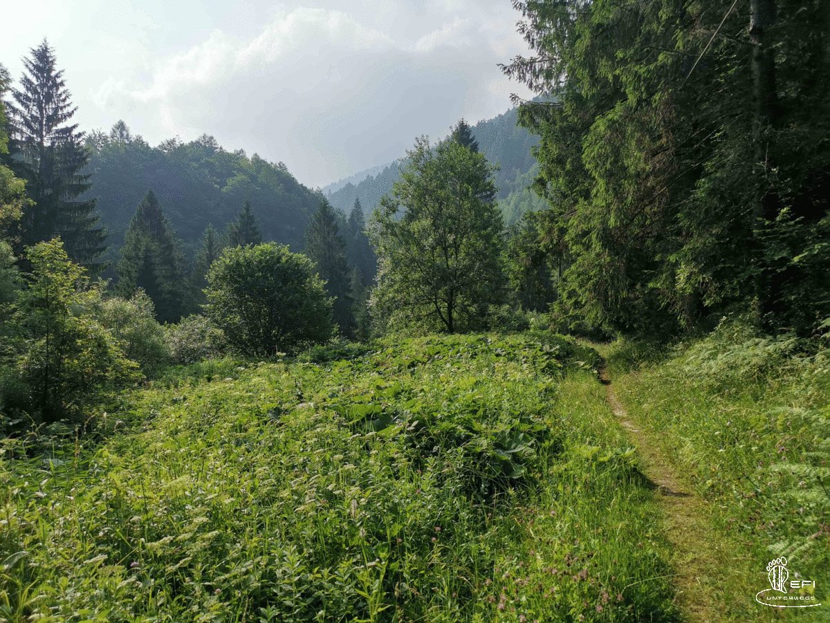 {f:if(condition: notitle, then: '', else: (file.title ?: ''))} {f:if(condition: altText, then: altText, else: (file.alternative ?: (file.title ?: file.name)))}