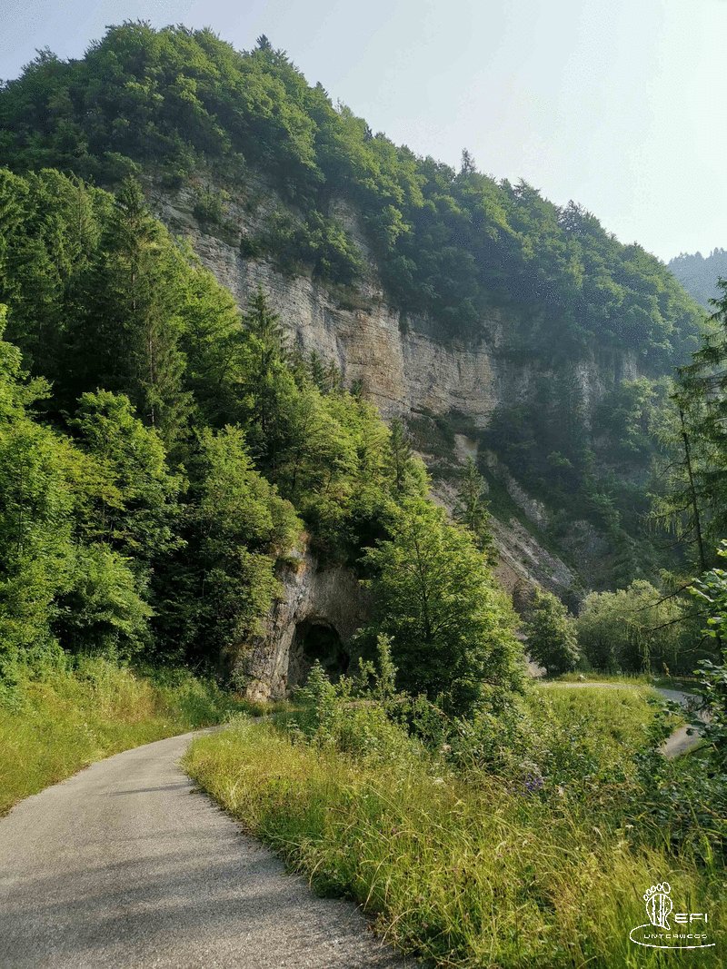{f:if(condition: notitle, then: '', else: (file.title ?: ''))} {f:if(condition: altText, then: altText, else: (file.alternative ?: (file.title ?: file.name)))}