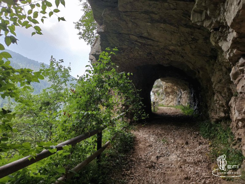 {f:if(condition: notitle, then: '', else: (file.title ?: ''))} {f:if(condition: altText, then: altText, else: (file.alternative ?: (file.title ?: file.name)))}