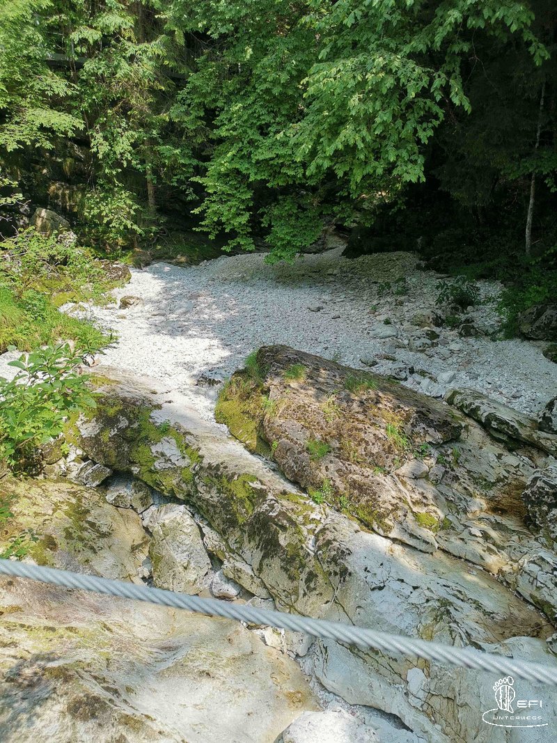 {f:if(condition: notitle, then: '', else: (file.title ?: ''))} {f:if(condition: altText, then: altText, else: (file.alternative ?: (file.title ?: file.name)))}