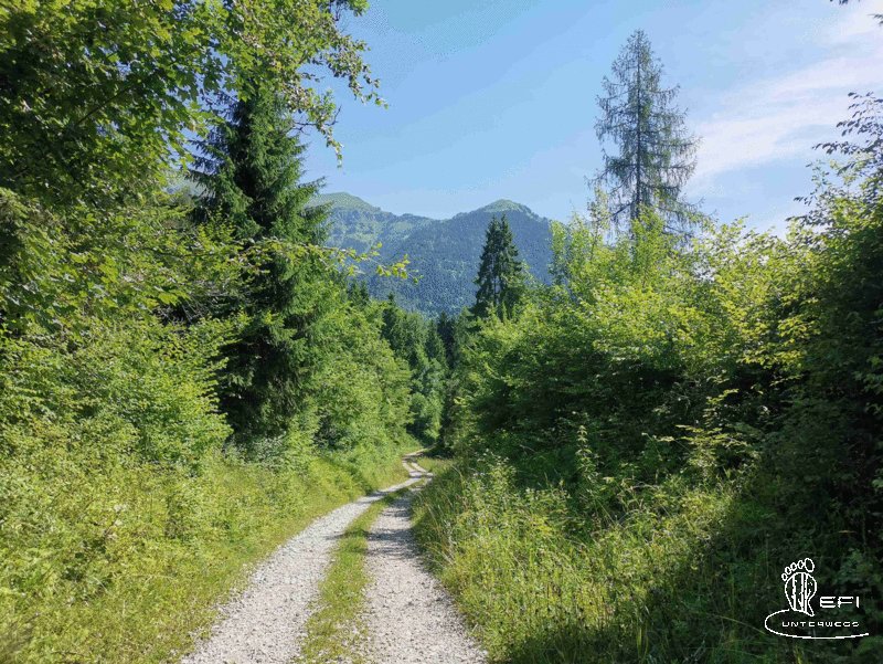 {f:if(condition: notitle, then: '', else: (file.title ?: ''))} {f:if(condition: altText, then: altText, else: (file.alternative ?: (file.title ?: file.name)))}
