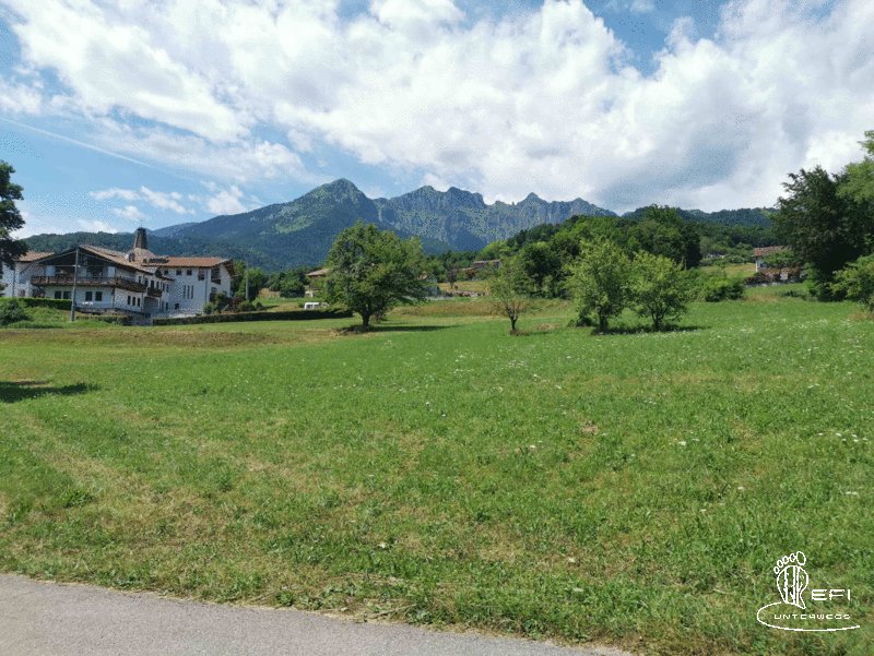 {f:if(condition: notitle, then: '', else: (file.title ?: ''))} {f:if(condition: altText, then: altText, else: (file.alternative ?: (file.title ?: file.name)))}