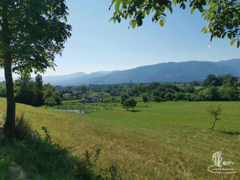 {f:if(condition: notitle, then: '', else: (file.title ?: ''))} {f:if(condition: altText, then: altText, else: (file.alternative ?: (file.title ?: file.name)))}